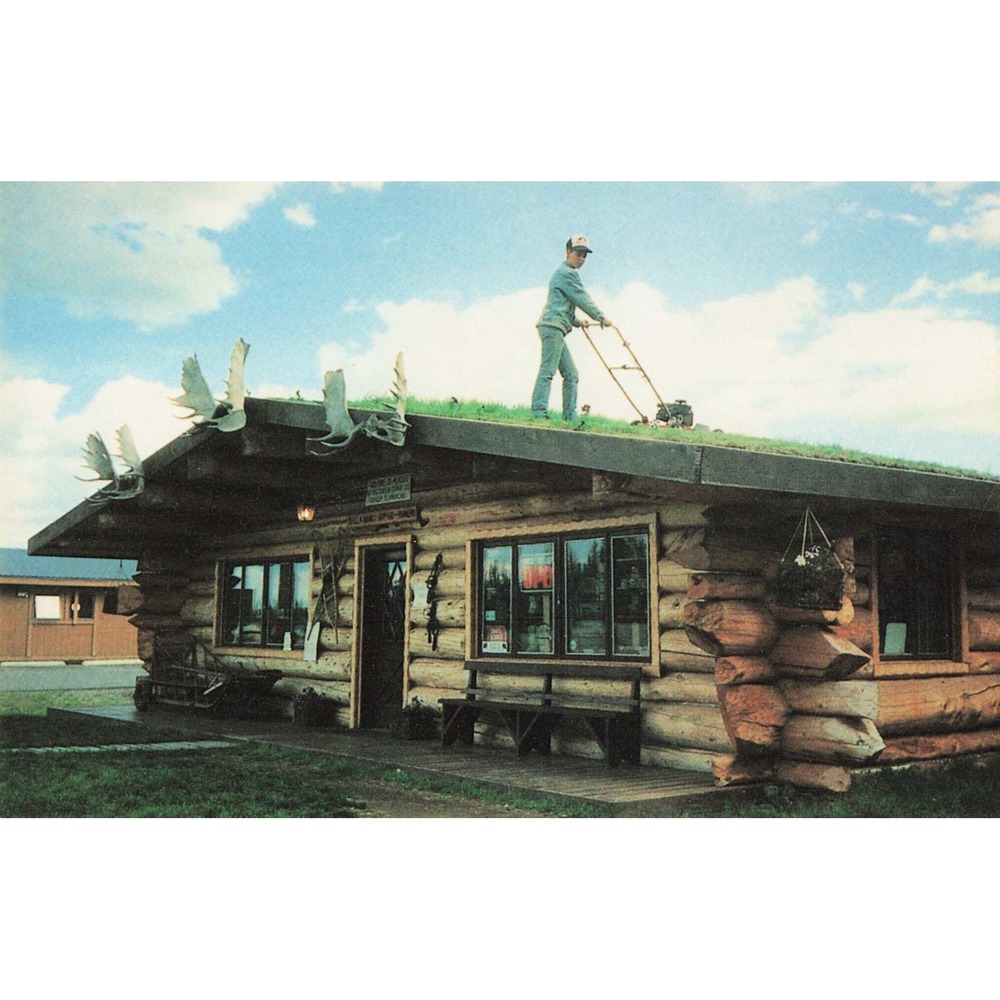 Vintage Mowing the Roof Burnt Paw Sod Roof Log Cabin Tok Alaska Postcard